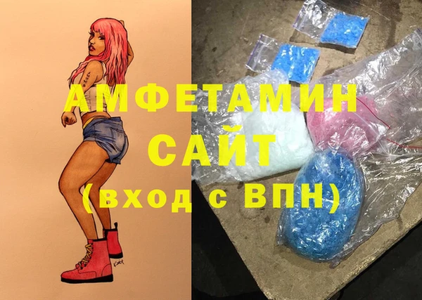 гашик Вязьма