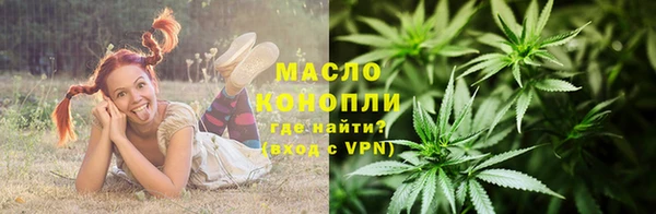 гашик Вязьма