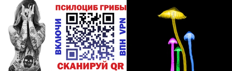 цена наркотик  Злынка  Галлюциногенные грибы Psilocybe 